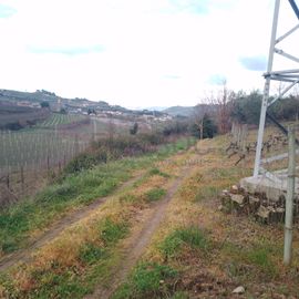 Quinhão Hereditário · Lamego e Tarouca