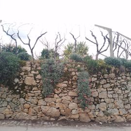 Quinhão Hereditário · Lamego e Tarouca