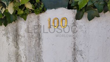 Quinhão Hereditário · Tomar