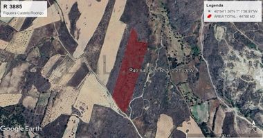 Terreno com +4 hectares · Figueira de Castelo Rodrigo