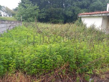 Moradia V3 · Santo Tirso