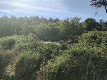 Terrenos · Águeda
