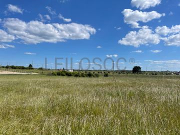 Quinta com 5,9 hectares · Palmela