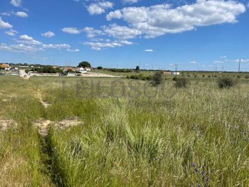 Quinta com 5,9 hectares · Palmela