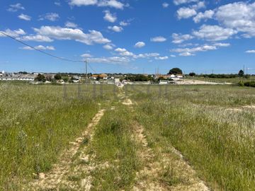 Quinta com 5,9 hectares · Palmela