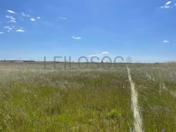 Quinta com 5,9 hectares · Palmela