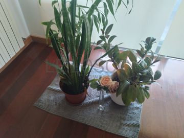 Mobiliário e Decoração · Eletrodomésticos