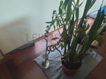 Mobiliário e Decoração · Eletrodomésticos