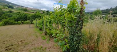 Terreno Rústico com 780 m² · Riba de Mouro, Monção