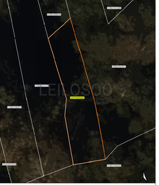 Quinhão Hereditário · Odivelas · Arquipélago da Madeira