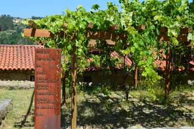 Aldeia Histórica de Póvoa Dão · Silgueiros, Viseu